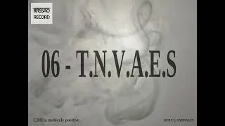 Miniature : T.N.V.A.E.S | Introspection et Culture | JOSUE LANDRAGIN