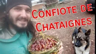 Miniature : Confiture de châtaigne, de la branche au bocal, tutoriel