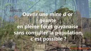 Miniature : Une mine d'or géante en pleine forêt Guyanaise.