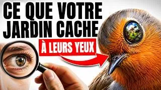 Miniature : Cet Oiseau Dans Votre Jardin Vous Reconnaît — La Science Confirme Ce Que Vous Ressentiez