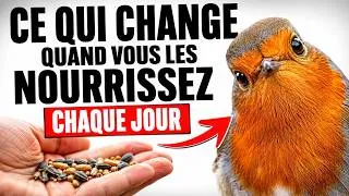 Miniature : Vous Nourrissez Le Mauvais Oiseau Depuis Des Mois (Et Vous Ne Le Saviez Pas)