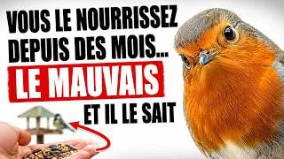 Miniature : Ce Que Votre Mangeoire Révèle Sur La Vie Secrète Des Oiseaux De Jardin
