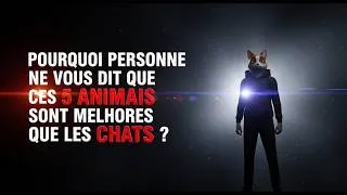 Miniature : Ce cochon est plus intelligent que votre chien (et 4 autres animaux qui vont vous faire douter)
