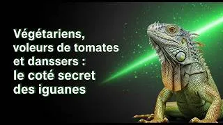 Miniature : Les iguanes ressemblent à des dinosaures, mais attendez de les voir faire ÇA !