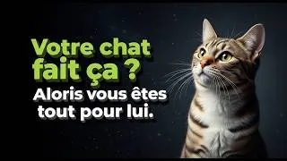 Miniature : Votre chat fait ça ? Alors vous êtes tout pour lui.