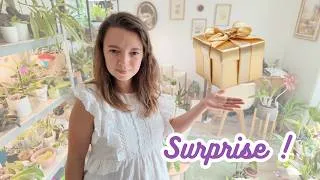 Miniature : Sauver ses orchidées : vos questions + concours 5000 abonnés !