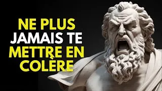Miniature : Voici Comment Ne Jamais Se Mettre En Colère Ni Se Laisser Perturber Par Qui Que Ce Soit – Stoïcisme
