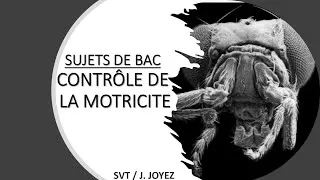 Miniature : SUJETS BAC MOTRICITÉ 1