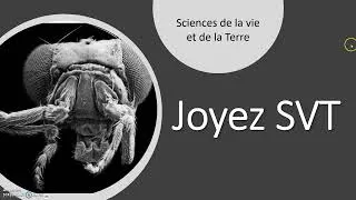 Miniature : SUJETS BAC CONTRACTION MUSCULAIRE