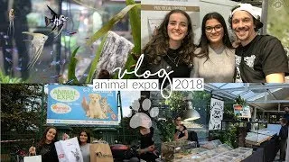 Miniature : VLOG │Animal Expo 2018 : haul des achats + on rencontre Toopet !