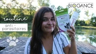 Miniature : Routine anti-parasitaires de mes chiens │Biogance