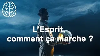 Miniature : Le mindset : l'esprit et ses caractéristiques (pour un bon changer ton mindset) #mindset