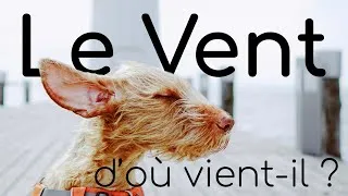 Miniature : Le vent : comment il se forme ?