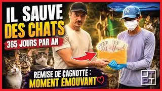 Miniature : 🐈 Ce héros de thaïlandais sauve des chats tous les jours! Remise de cagnotte! #thaïlande #thailande