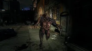 Miniature : Las Noches de Dying Light Siguen Siendo Aterradoras…