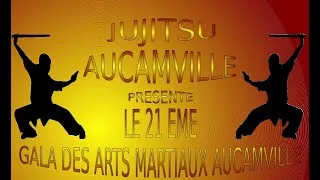 Miniature : Gala des Arts Martiaux d'Aucamville 2017 - Jujitsu