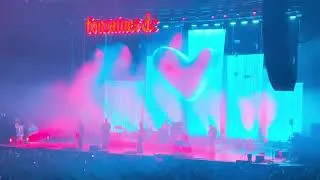 Miniature : Fontaines DC /// Bug