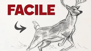 Miniature : Dessiner un cerf facilement