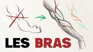 Miniature : Dessine enfin les bras correctement grâce à l'anatomie