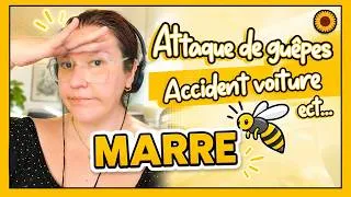 Miniature : Une semaine de galères sans fin ! 😤VLOG FAMILLE 🌻