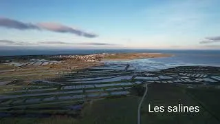 Miniature : L'île de Ré