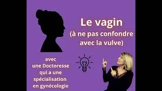 Miniature : Le vagin 19.07.2026
