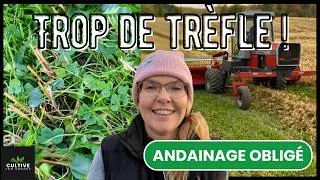 Miniature : Oubligé d'andainé : il y a trop de trèfle !!
