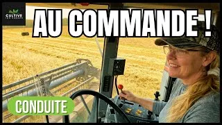 Miniature : Partie 2 : Moisson blé d'automne biologique! #agriculturebiologique #blé #autonomie 