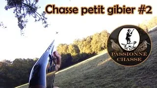 Miniature : Chasse petit gibier #2 | Saison 2015-2016