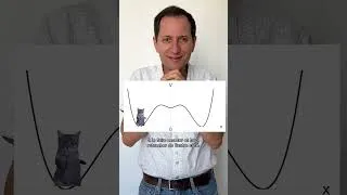 Miniature : L'équation du chat (vidéo n°389)