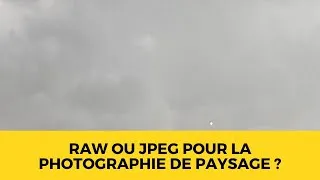 Miniature : RAW vs JPG Quel format choisir ?