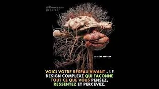 Miniature : Un nouveau paradigme pour le 21ème siècle (base philosophique et preuve physiologique)