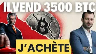 Miniature : Je rachète les Bitcoin vendus par Saylor ^^ (mon plan d'achat cet été)