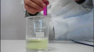 Miniature : [EXP] La solution qui ne voulait pas changer !