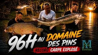 Miniature : 96 HEURES AU DOMAINDE DES PINS RECORD CARPE EXPLOSÉ