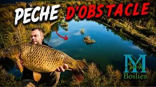 Miniature : Pêche de la CARPE en OBSTACLE