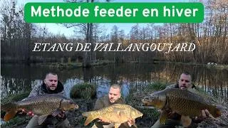 Miniature : Pêche au methode feeder en hiver