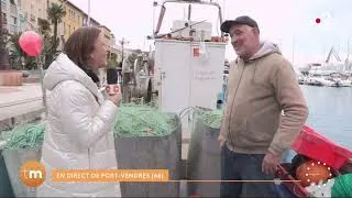 Miniature : La pêche à "métier" à Port-Vendres // Fenêtre sur les régions - Télématin - France 2