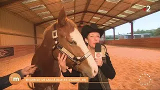 Miniature : La pratique de l'équitation western à Laille // Fenêtre sur les régions  - Télématin - France 2