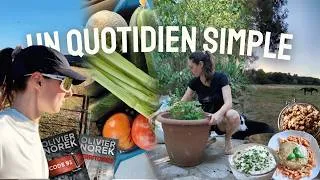 Miniature : Mon quotidien dans le sud à la campagne : recettes, retour de courses, sport, lecture