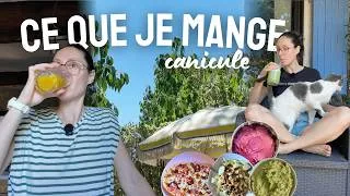 Miniature : Ce que je mange pendant la canicule (recettes végé et protéinées)