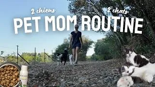 Miniature : Ma routine de “pet mom” en période de canicule : alimentation, organisation, balade, vermifuge…