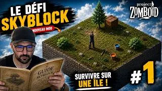 Miniature : Défi Skyblock #1 Notre survie commence !