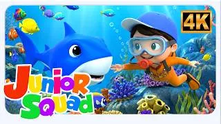 Miniature : Bébé Requin 🦈 | Chanson des Petits Requins | Junior Squad | Comptine pour Enfants