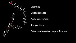 Miniature : Cours Vidéo   vitamines, oligoélements, lipides