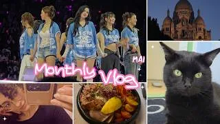 Miniature : MONTHLY VLOG ✨ CONCERT, TWICE et KPOP !