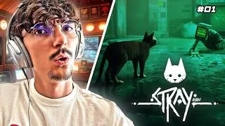 Miniature : QUE S'EST-IL PASSÉ ? | Stray #01