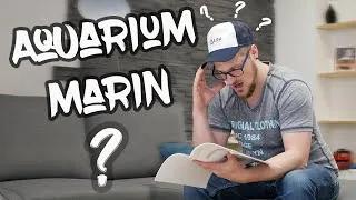 Miniature : Tu veux un aquarium d'eau de mer mais tu y connais rien ?