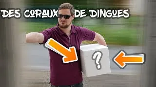 Miniature : J'AI DES NOUVEAUX CORAUX ! -JUSTFX