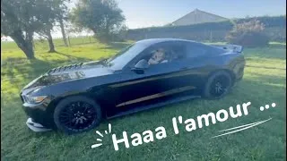 Miniature : J'ai volé sa voiture  - 🫶🏻